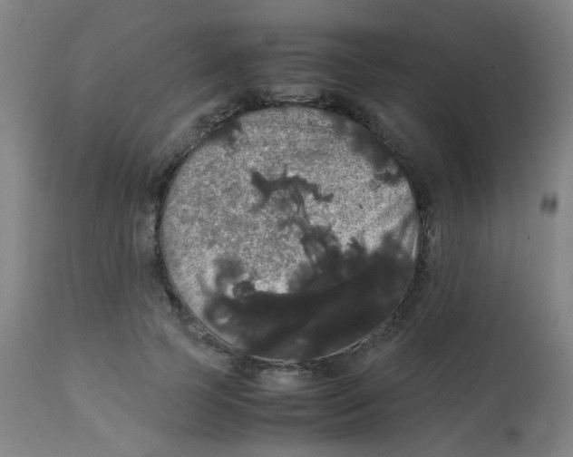 X0000113850745200910221418