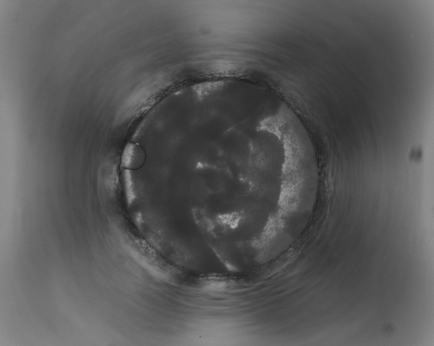 X0000113850746200910221418