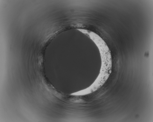 X0000113850747200910221418