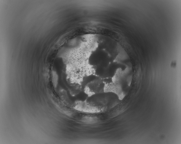 X0000113850749200910221419