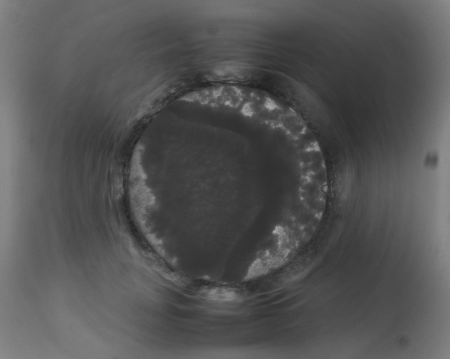 X0000113850751200910221419