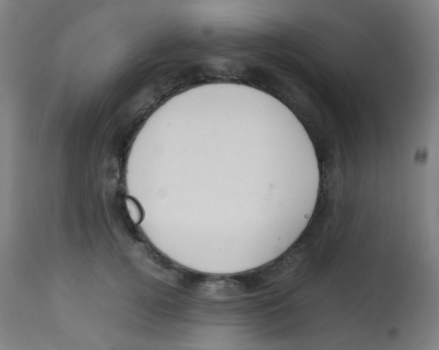 X0000113850752200910221419