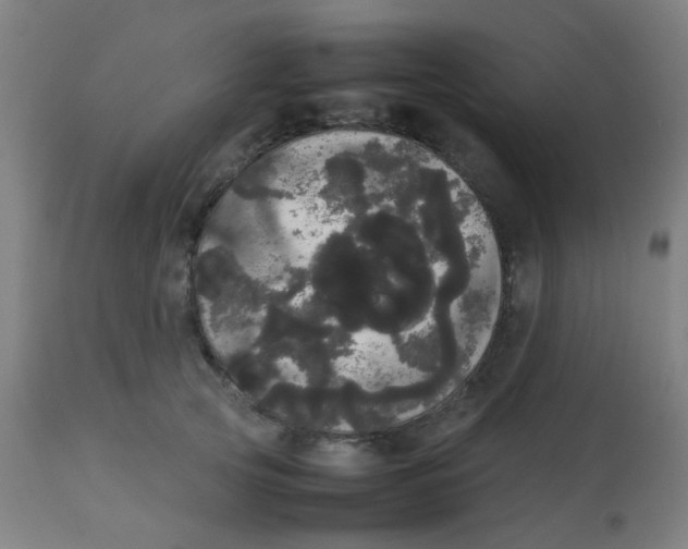 X0000113850753200910221419