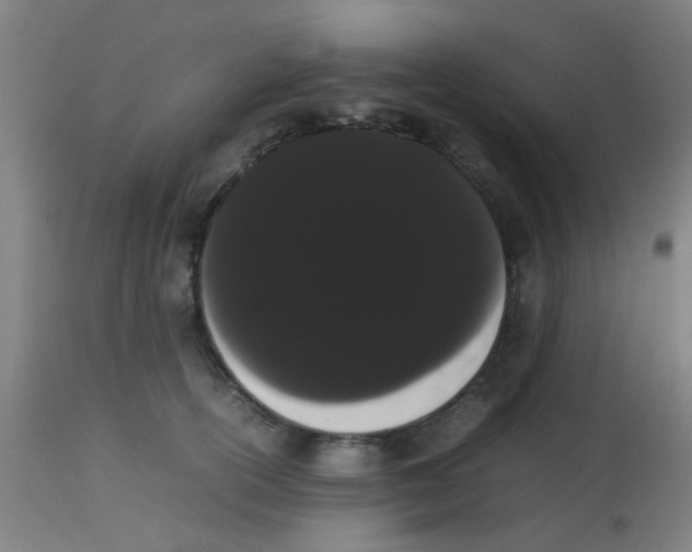 X0000113850754200910221419