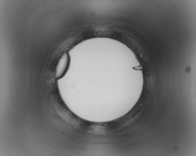 X0000113850756200910221419