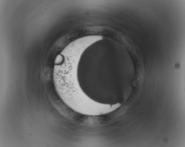 X0000113850758200910221419