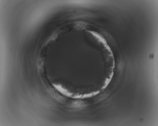 X0000113850759200910221419