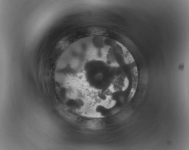 X0000113850761200910221419