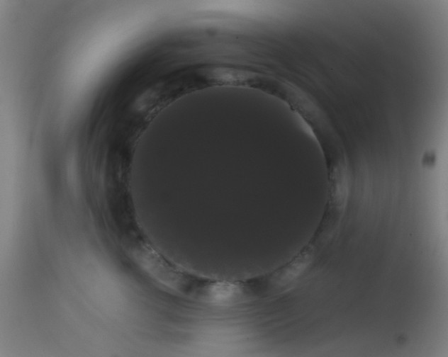 X0000113850762200910221419