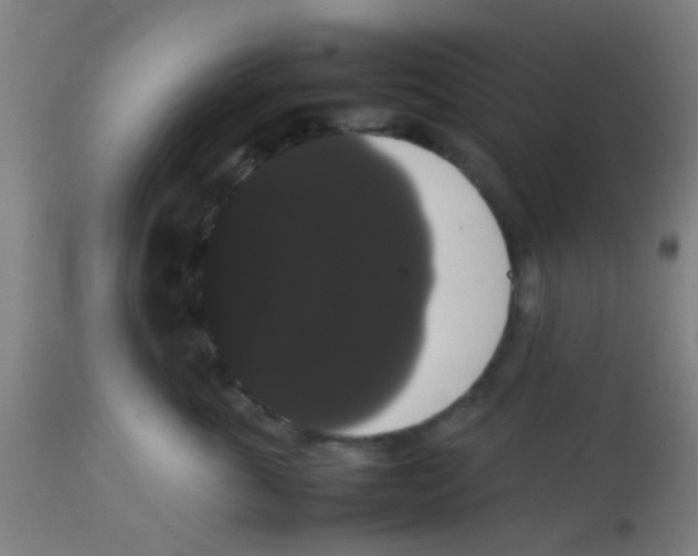 X0000113850763200910221419