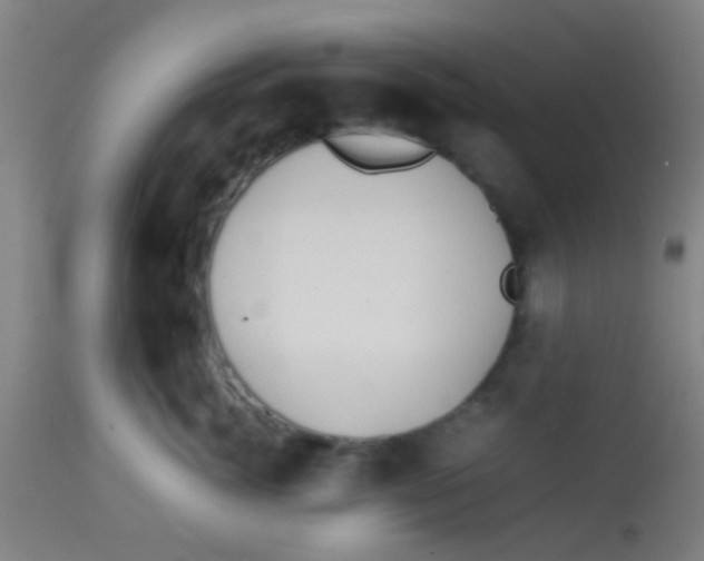 X0000113850764200910221419