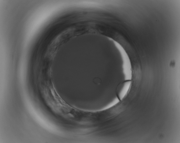 X0000113850765200910221419