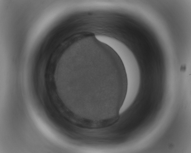 X0000113850766200910221419