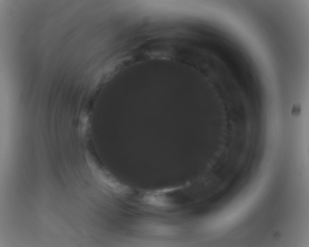 X0000113850767200910221419