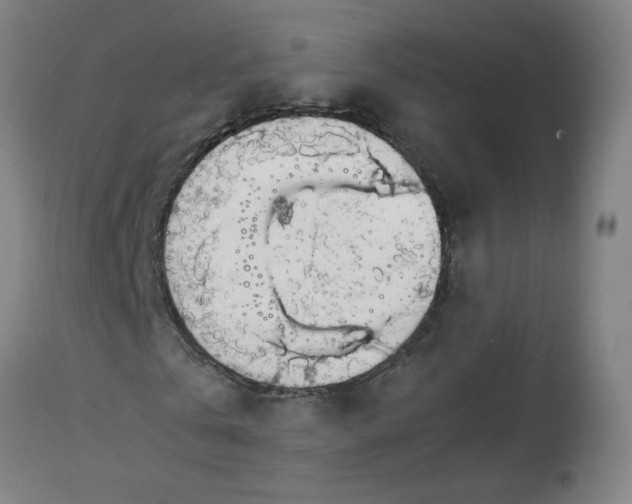 X0000113850769200910221418