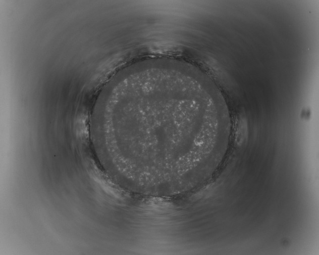 X0000113850770200910221418