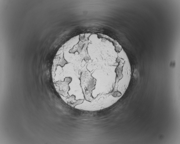 X0000113850771200910221418