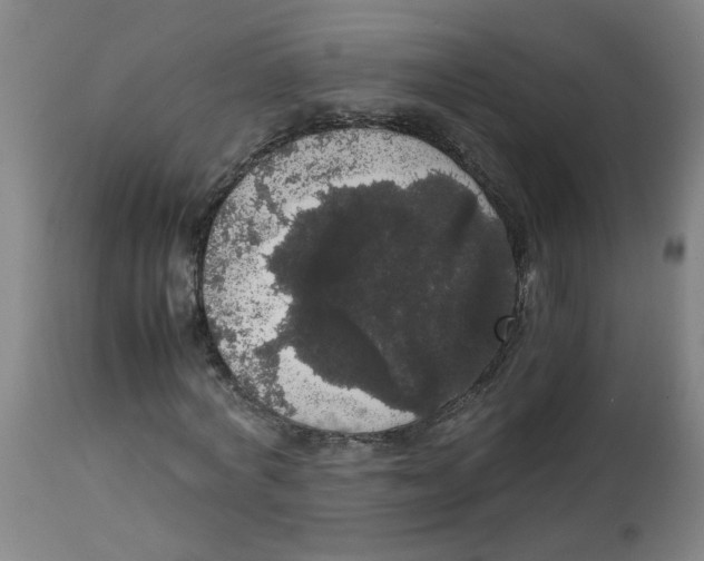 X0000113850772200910221418