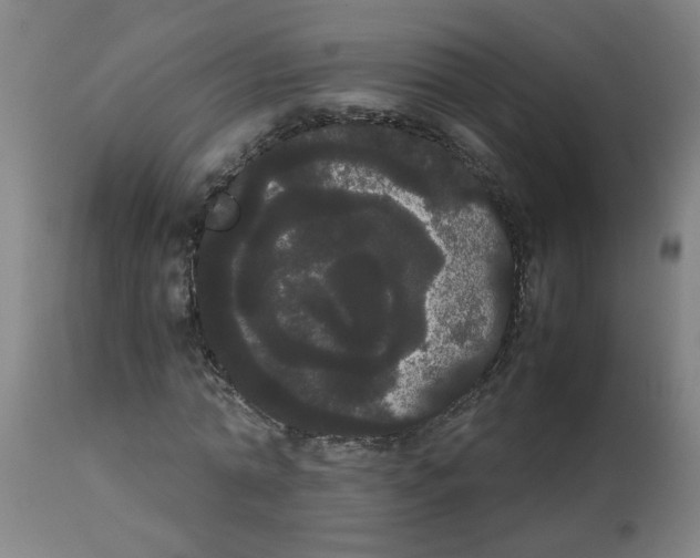 X0000113850774200910221418