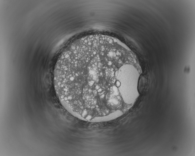 X0000113850776200910221418