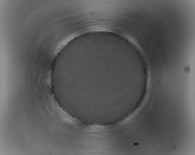 X0000113850777200910221418