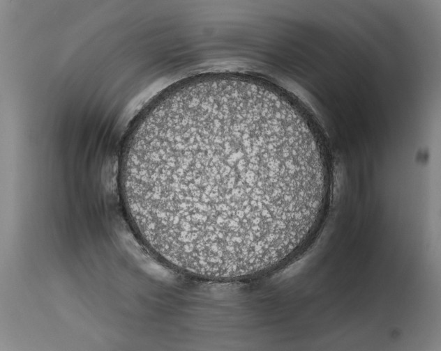 X0000113850778200910221418