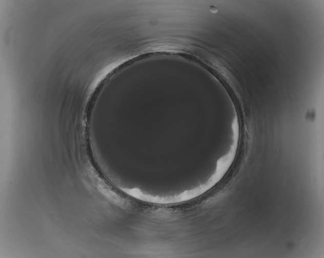 X0000113850779200910221418