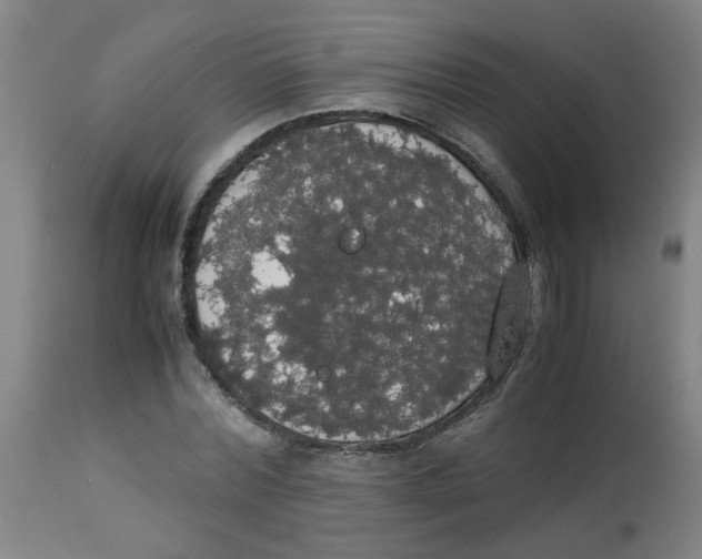 X0000113850780200910221418