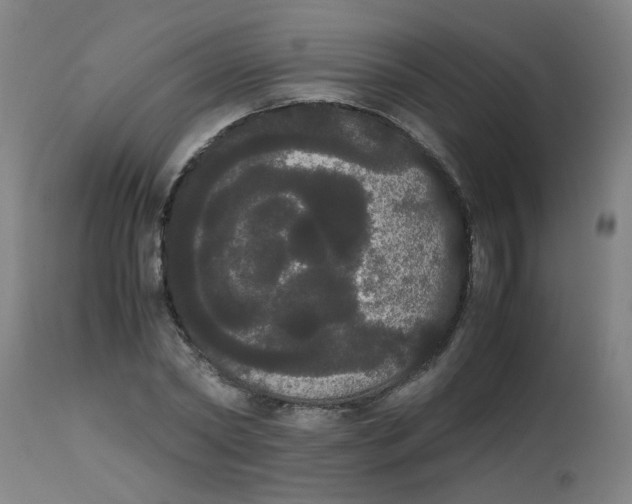 X0000113850782200910221418