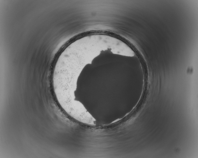 X0000113850783200910221418