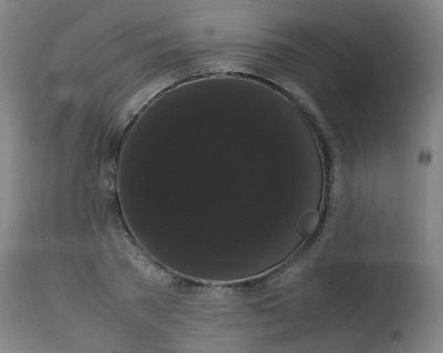 X0000113850785200910221418