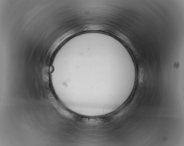 X0000113850786200910221418