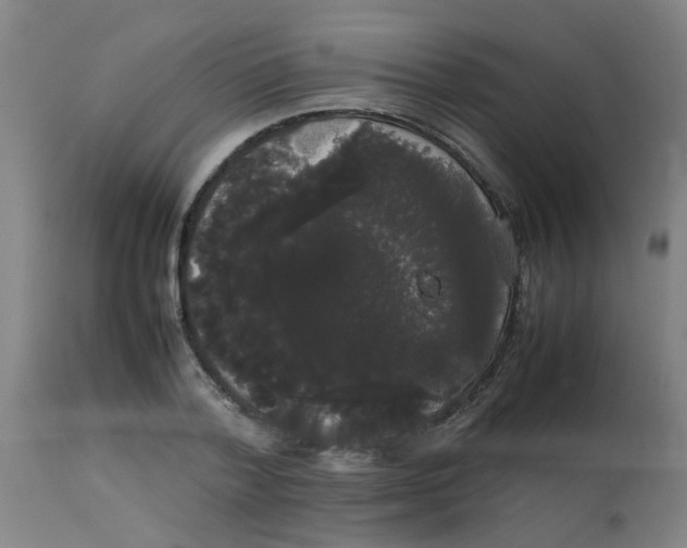 X0000113850788200910221418