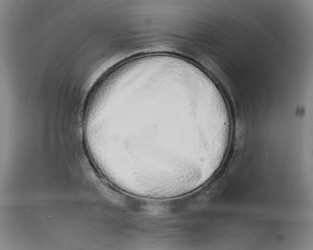 X0000113850789200910221418