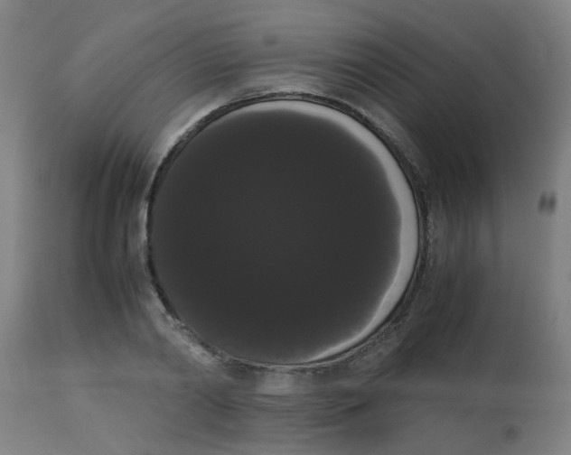 X0000113850790200910221418