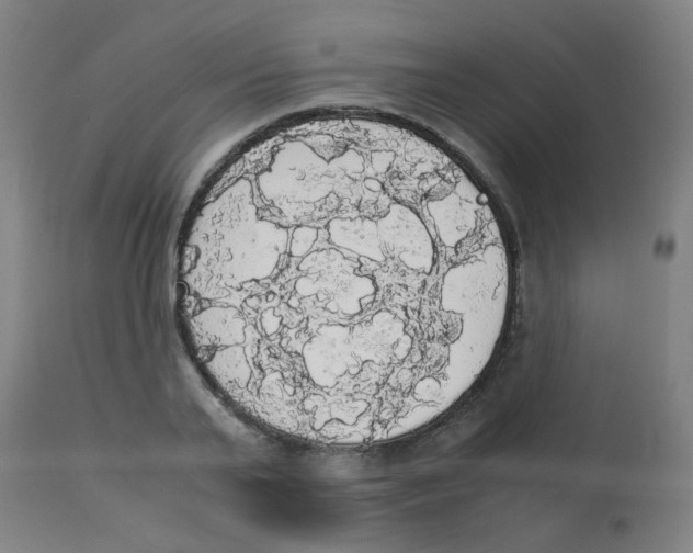 X0000113850791200910221418