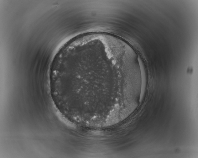 X0000113850792200910221418