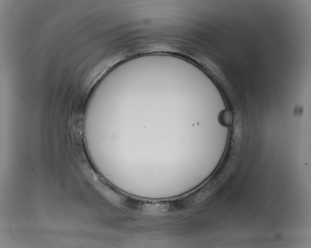 X0000113850793200910221418