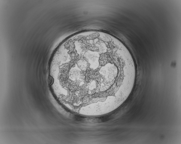 X0000113850795200910221418