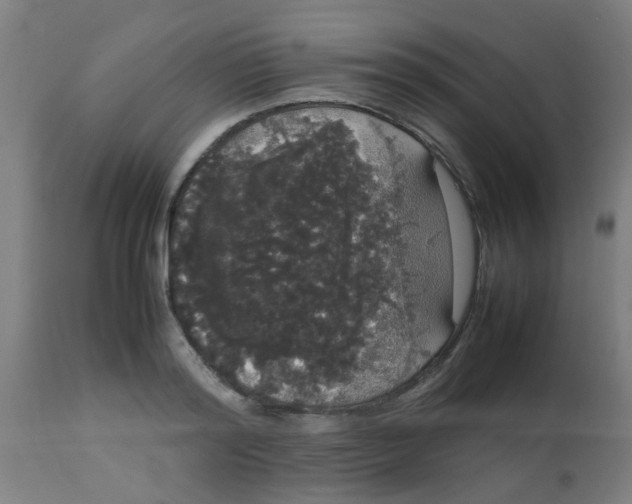 X0000113850796200910221418