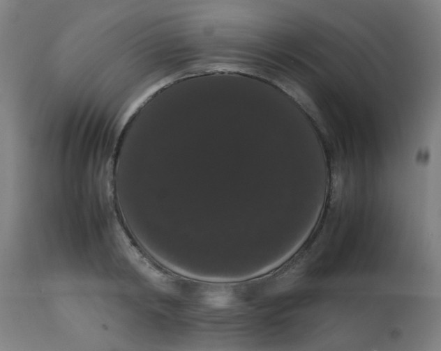 X0000113850798200910221418