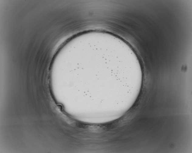 X0000113850799200910221418