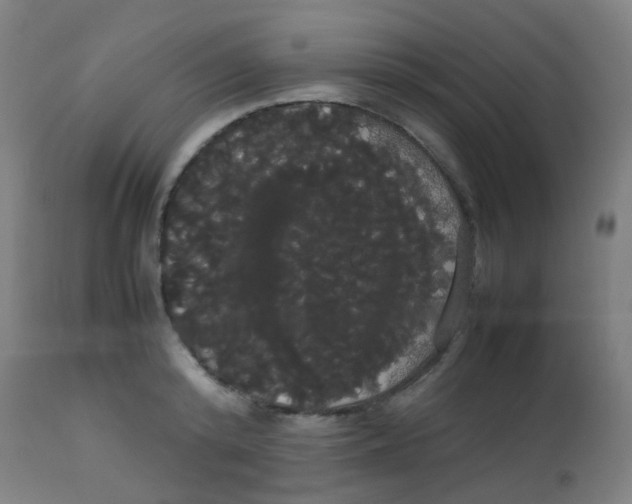 X0000113850800200910221418