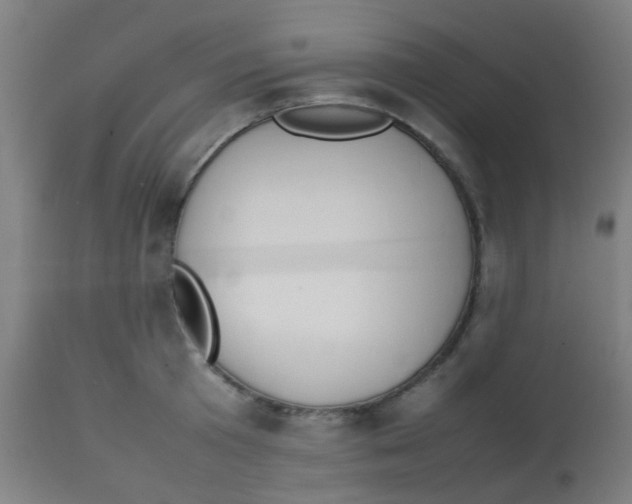 X0000113850801200910221418