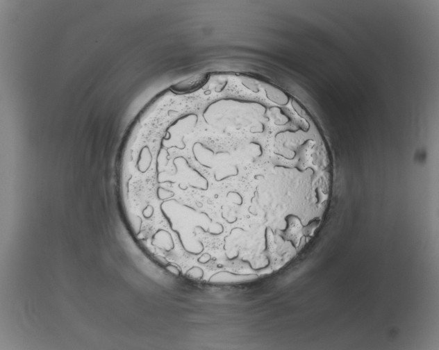 X0000113850803200910221418