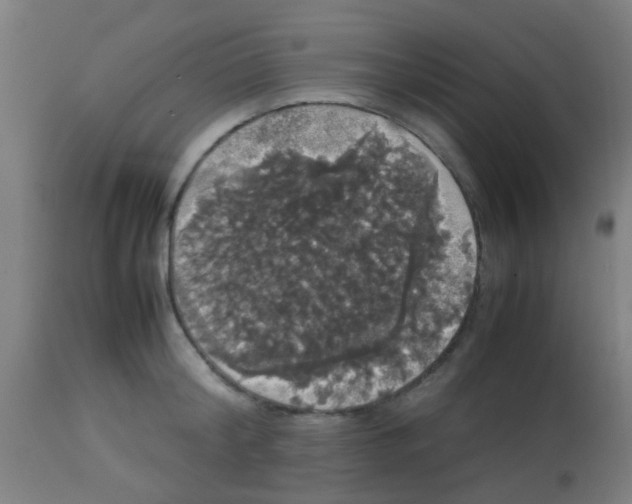 X0000113850804200910221418