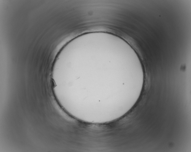 X0000113850805200910221418