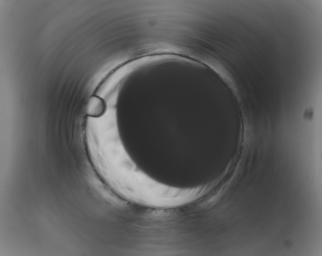 X0000113850806200910221418