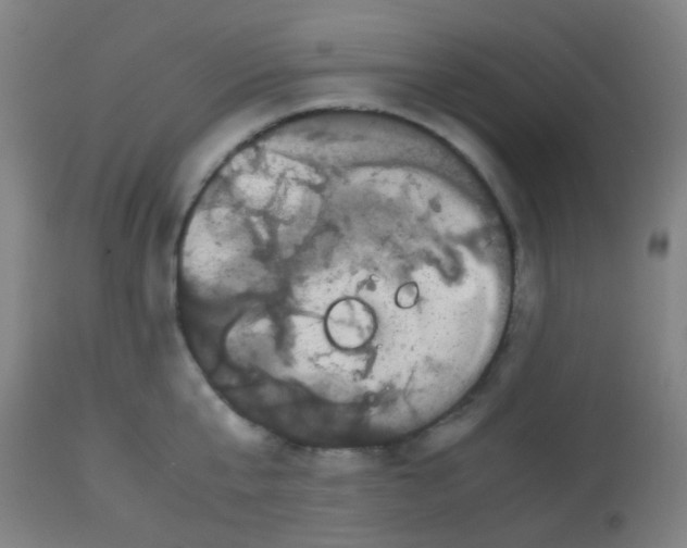 X0000113850807200910221418