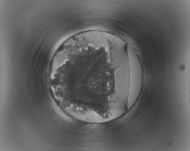 X0000113850808200910221418